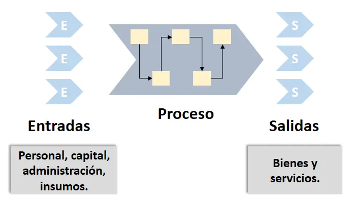 Ciclo de proceso productivo Ciclo de proceso productivo
