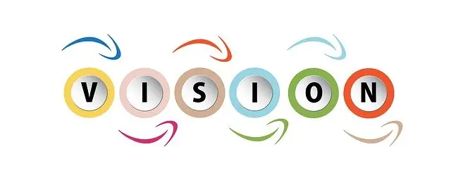 Visión organizacional